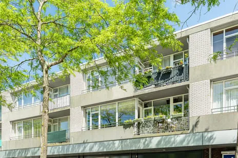 Appartement te koop: William Harveystraat 20, Geneesherenbuurt Haarlem