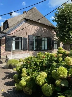 Vrijstaande woning te koop: Wittekruisweg 37, Agrarischgebied Lieren-Oosterhuizen Lieren