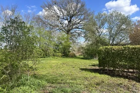 Woning te koop: Wollinghuizerweg, Vlagtwedde Vlagtwedde