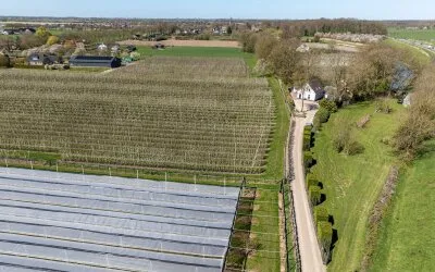 Vrijstaande woning te koop: Zandpad 27, Buitengebied Cothen Cothen
