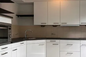 Woning te huur: Zandtong, Zandrijk Eindhoven