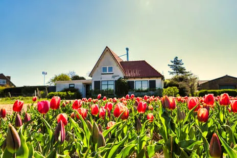 Vrijstaande woning te huur: Zandweg 14, Egmond aan den Hoef Egmond Aan Den Hoef