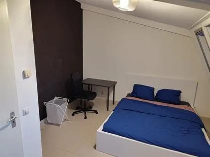 Kamer te huur: Zomertaling, Parijsch Vlinderbuurt Culemborg
